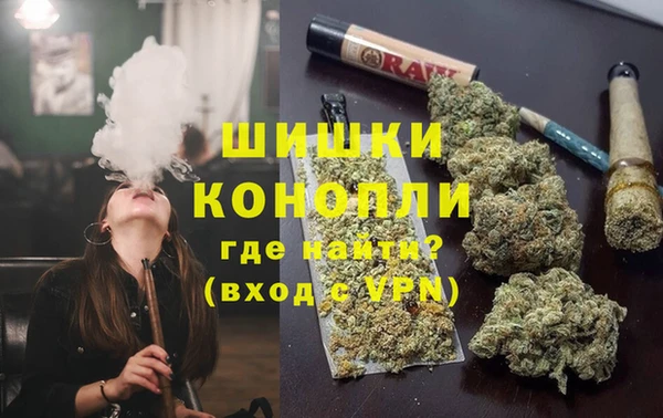 гашик Аркадак