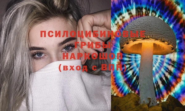 гашик Аркадак