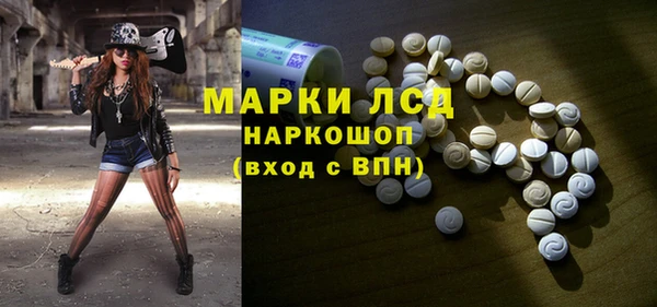 гашик Аркадак